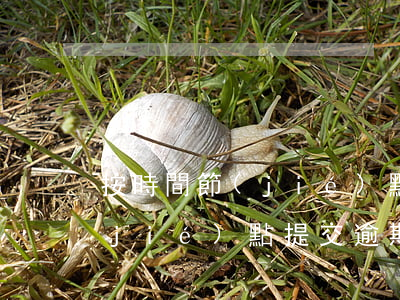 按時間節(jié)點提交逾期(按時間節(jié)點提交逾期)