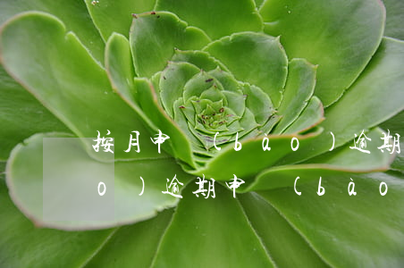 按月申報(bào)逾期罰款嗎 月報(bào)逾期申報(bào)
