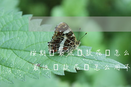 按期還最低還款花唄怎么用不了了-按期還最低還款花唄怎么用不了了呢