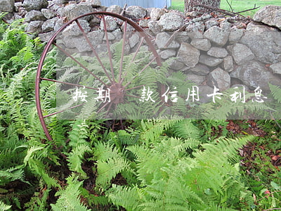 按期還款信用卡利息(還信用卡的利息怎么算)