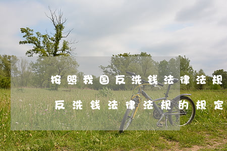 按照我国反洗钱法律法规的规定(按照我国反洗钱法律法规的规定,金融机构应当采取哪些)