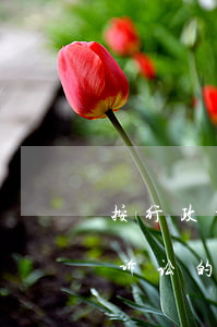 按行政诉讼法可以起诉法院吗(可以提起行政诉讼的有哪些)