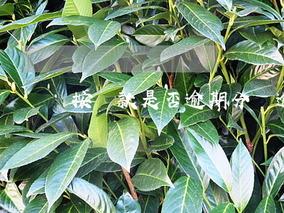 按貸款是否逾期分為(逾期貸款的定義)