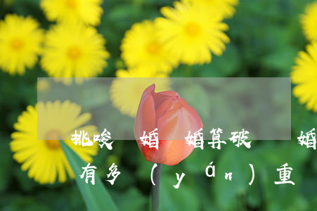 挑唆軍婚離婚算破壞軍婚嗎(破壞軍婚的后果有多嚴(yán)重)