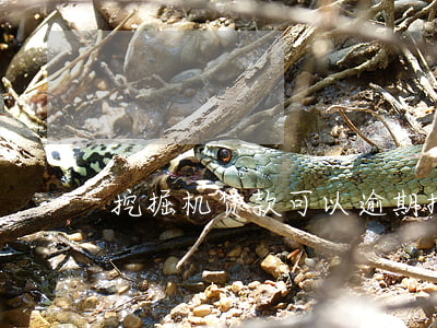 挖掘机贷款可以逾期(拖欠挖掘机款怎么办)