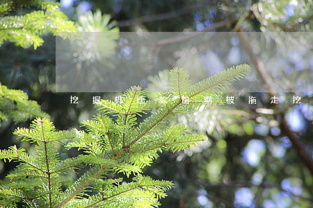 挖掘机还款逾期被拖走(挖掘机欠款被拖走案例)