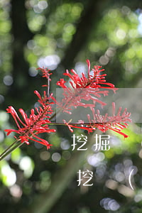 挖掘機(jī)司機(jī)事故賠償案例(挖機(jī)傷人案例賠償)