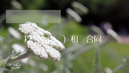 挖機(jī)租賃合同
