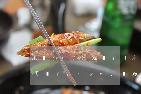 挖機(jī)租賃合同(挖機(jī)租賃合同簡(jiǎn)單版)