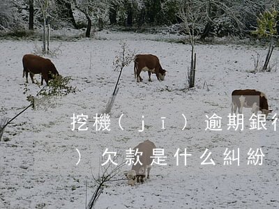 挖機(jī)逾期銀行起訴(使用挖機(jī)欠款是什么糾紛)