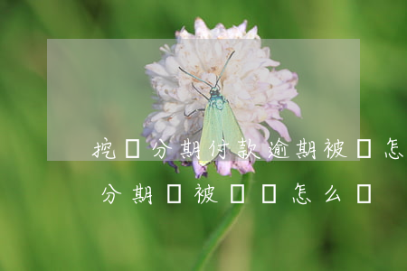 挖機分期付款逾期被鎖怎么解鎖-挖機還完分期還被鎖機怎么辦