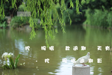 挖機按揭還款逾期幾天有關(guān)系嗎-挖機按揭逾期影響征信嚴重嗎