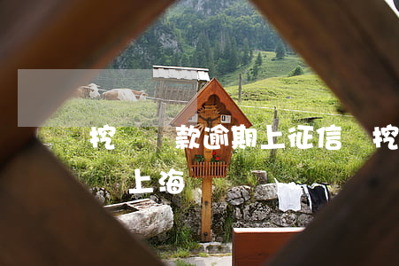 挖機貸款逾期上征信嗎(挖機貸款逾期上征信嗎上海)