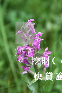 挖財(cái)快貸app（挖財(cái)快貸逾期會(huì)群發(fā)嗎）