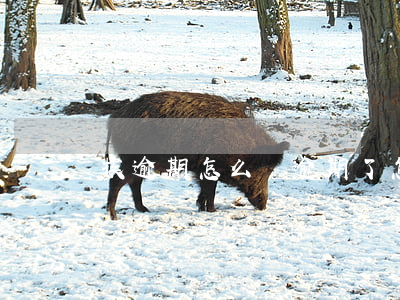 挨逾期怎么樣 逾期了怎么樣