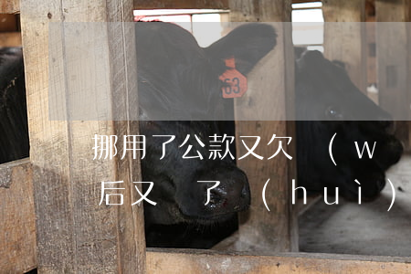 挪用了公款又欠網(wǎng)貸(挪用公款后又還了會(huì)怎樣)
