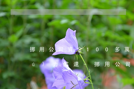 挪用公司資金100多萬(wàn)無(wú)力償還-挪用公司資金100多萬(wàn)無(wú)力償還怎么辦