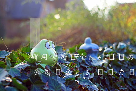 挪用公司資金15萬無力償還怎么辦-挪用公司資金15萬無力償還怎么辦呢