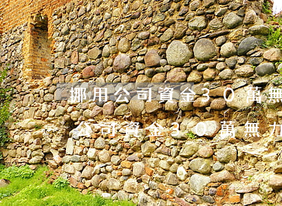 挪用公司資金30萬無力償還怎么辦-挪用公司資金30萬無力償還怎么辦呢