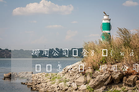 挪用公司資金8萬(wàn)無(wú)力償還怎么辦-挪用公司資金8萬(wàn)無(wú)力償還怎么辦呢