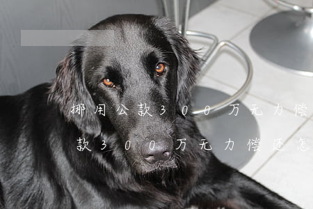 挪用公款300万无力偿还怎么办-挪用公款300万无力偿还怎么办呢