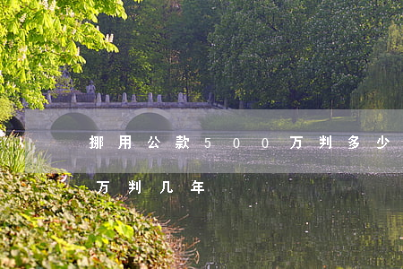 挪用公款500万判多少年(挪用公款600万判几年)