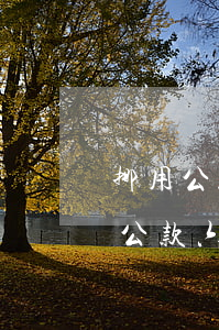 挪用公款60万无偿还能力能判多少年(挪用公款六万元能判几年)