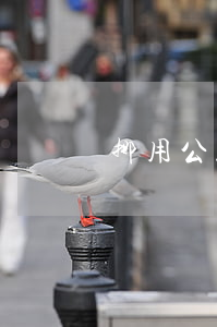 挪用公款出獄無力償還-挪用公款出獄無力償還