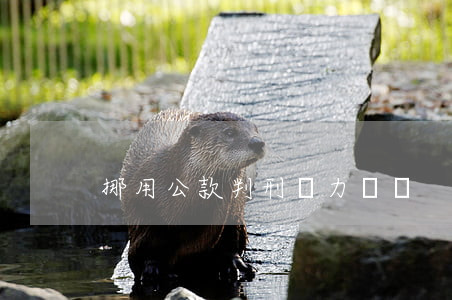挪用公款判刑無力償還