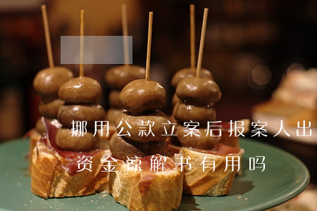 挪用公款立案后报案人出谅解书有用吗(挪用资金谅解书有用吗)
