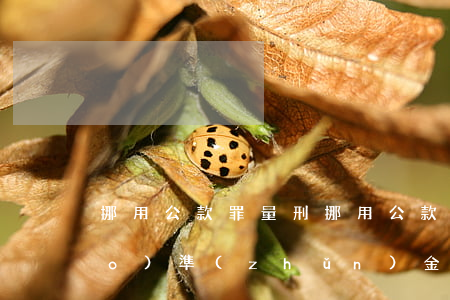 挪用公款罪量刑，挪用公款罪量刑標(biāo)準(zhǔn)金額