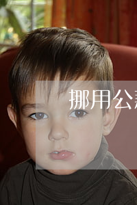 挪用公款罪量刑标准(挪用公款罪量刑标准)