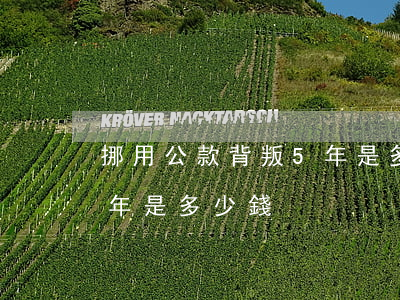 挪用公款背叛5年是多少錢(挪用公款背叛5年是多少錢)