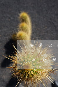 挪用公款舉報信怎么寫(舉報挪用公款需要什么材料)