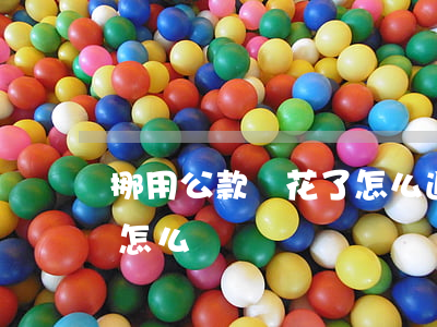 挪用公款錢花了怎么追回來(我挪用公款了該怎么辦)