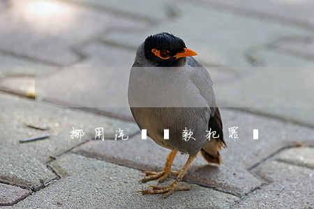 挪用汽車貸款犯罪嗎