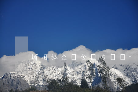 挪用私企資金無力償還-私人企業(yè)挪用資金