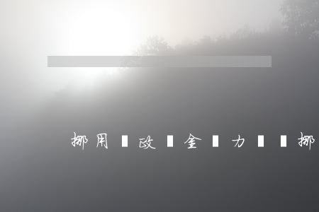 挪用財政資金無力償還(挪用政府資金)