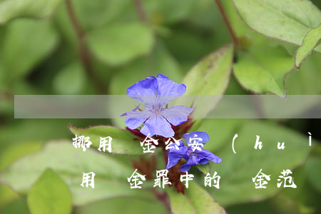 挪用資金公安會(huì)查資金去向嗎(挪用資金罪中的資金范圍)