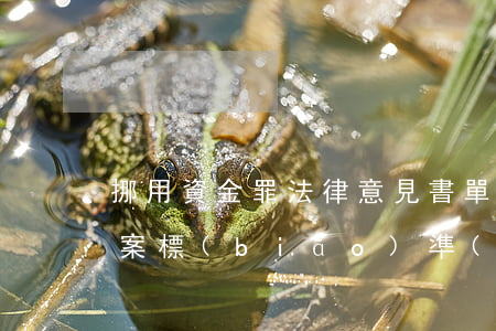 挪用資金罪法律意見書(單位挪用資金罪的立案標(biāo)準(zhǔn))