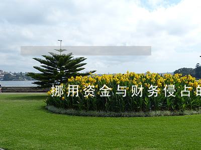 挪用资金与财务侵占的区别有哪些？