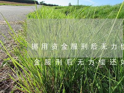 挪用资金服刑后无力偿还如何处理-挪用资金服刑后无力偿还如何处理呢