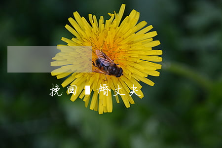 挽回離婚丈夫