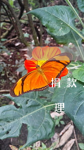 捐款人無力償還怎么辦-捐款沒用完怎么處理