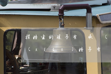 捐精生的孩子有繼承權(quán)嗎(捐獻(xiàn)精子有補(bǔ)償嗎)