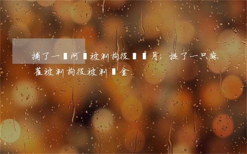 捕了一兩河蝦，被判拘役兩個月；捉了一只麻雀，被判拘役，被判罰金...