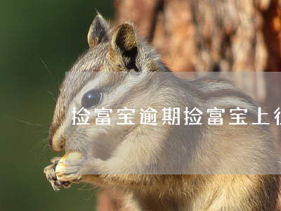 捡富宝逾期(捡富宝上征信吗)