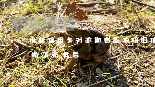 换新信用卡对逾期有影响吗(旧信用卡到期了,换了新卡后)