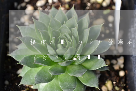 捷信1個(gè)星期不算逾期嗎(捷信一個(gè)月沒還)