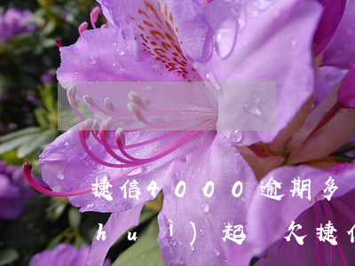 捷信4000逾期多長時(shí)間會(huì)起訴(欠捷信75000逾期200天說要起訴我是真的嗎)